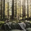 Obrus MISTY Stripe Forest