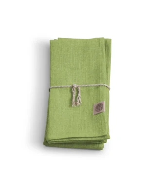Serwetka CLASSIC Summer Green 4szt